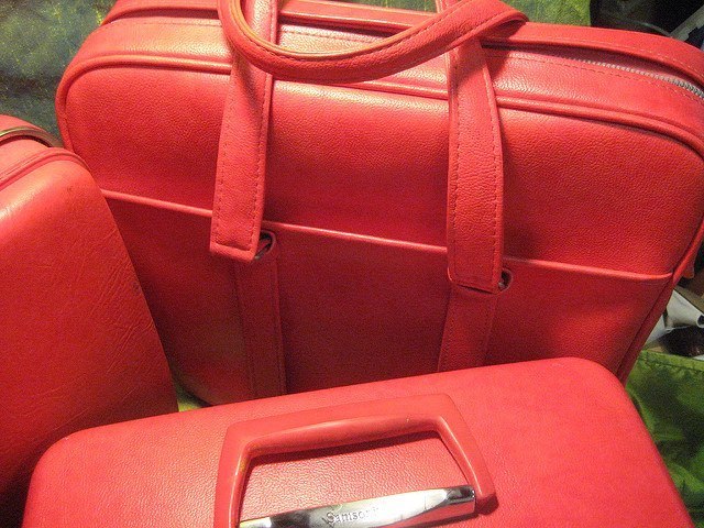 Red Travel Luggage Set