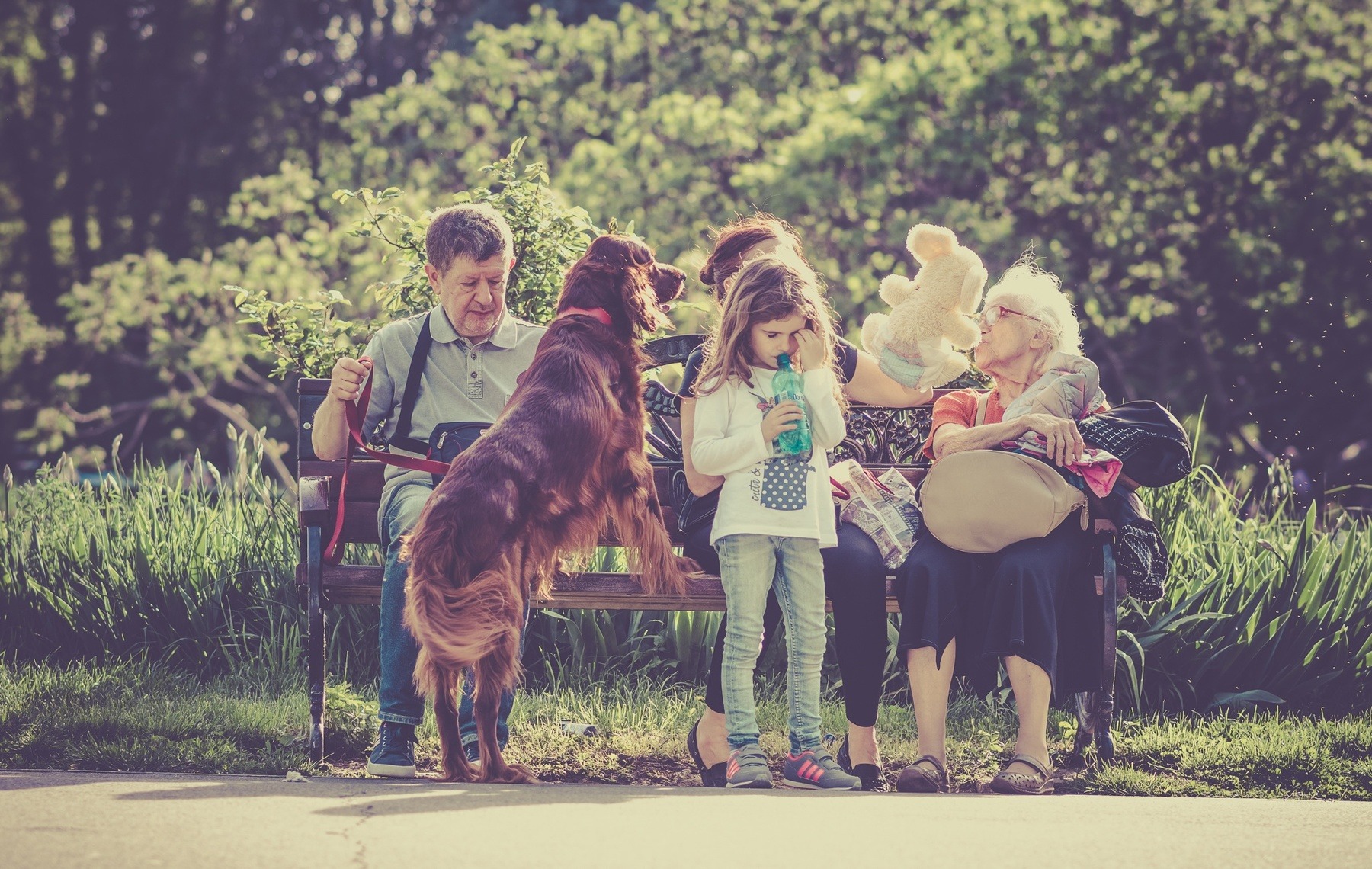 Family with dog on park bench