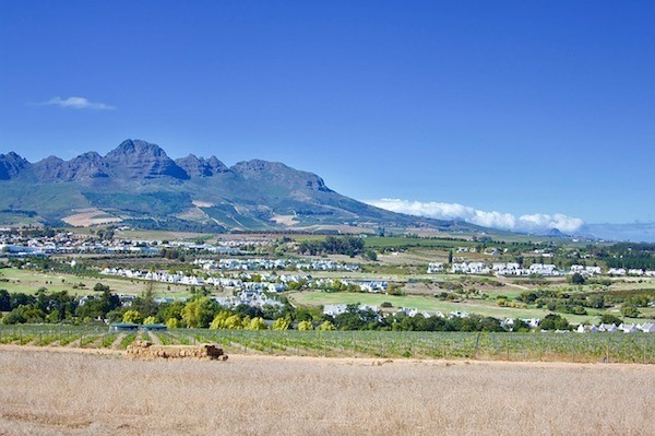 Stellenbosch Wine Country